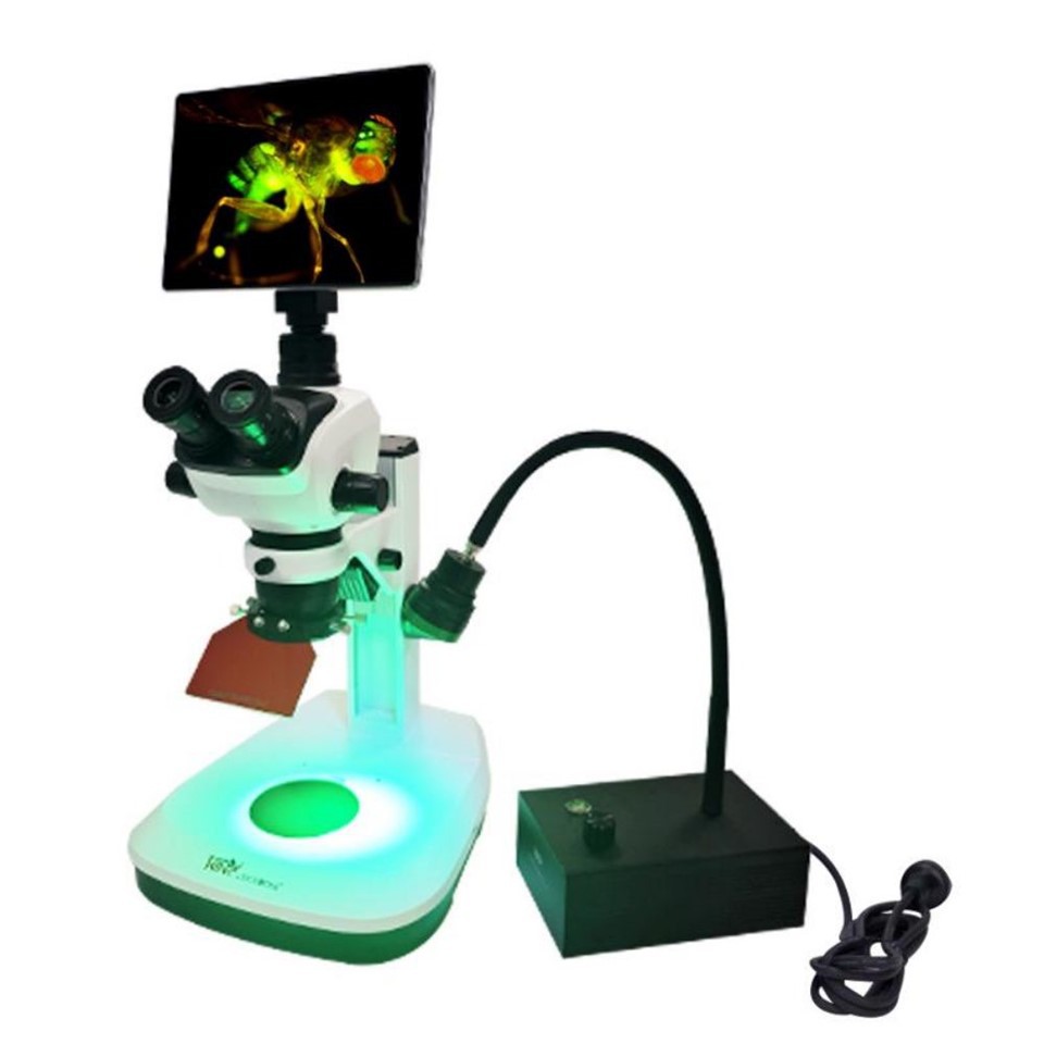 Adaptateur de fluorescence pour microscope stéréo DK-300X