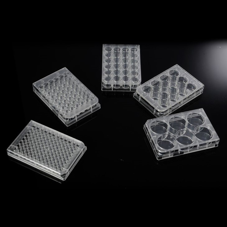TC Treated 6/12/24/48/96-Well Cell Culture Plates