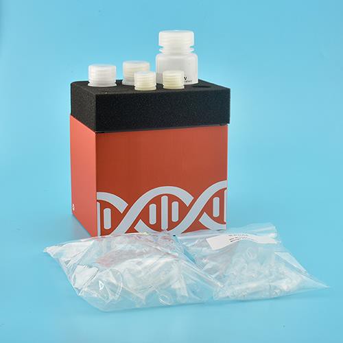 Kit d’ADN de purification de gel (colonne de spin)