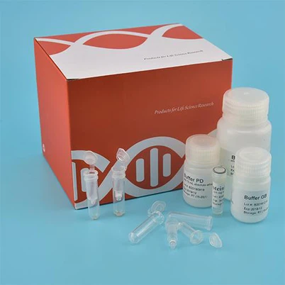 Kit d'ADN circulant sérum et plasma (colonne de spin)