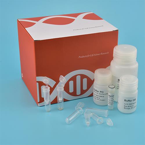 Kit ADN génomique du sol (colonne de rotation)