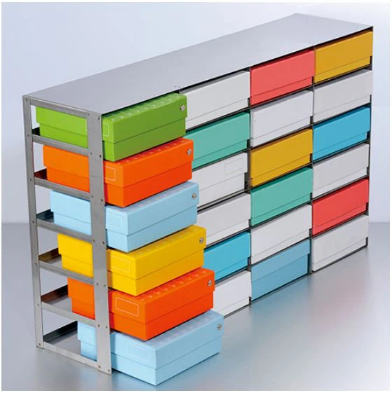 Biologix Supports de stockage pour congélateur à cadre Type de cadre à tiroirs coulissants Supports de stockage pour congélateur en acier inoxydable