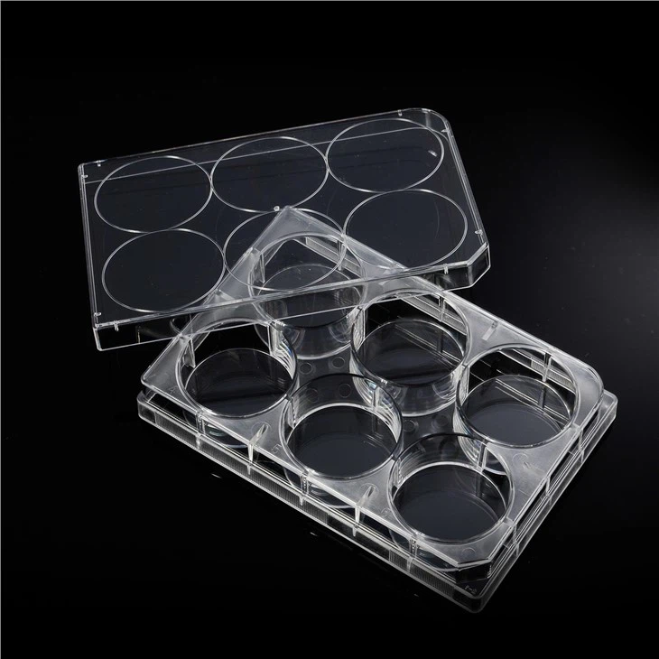 Microplaque en plastique stérile de plat de culture cellulaire de puits de la plaque 6 de culture cellulaire pour le laboratoire médical