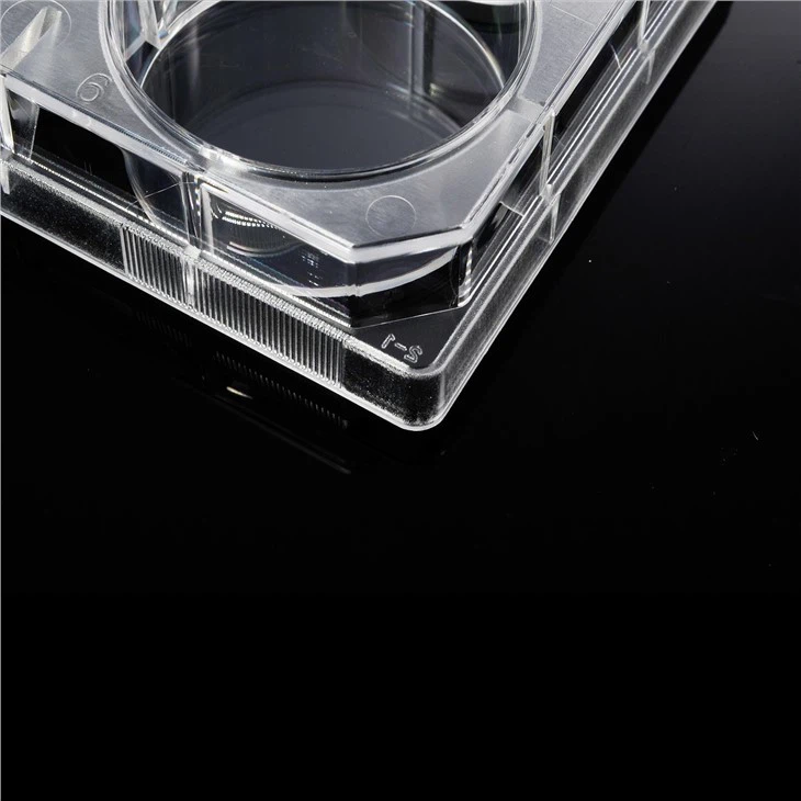 Cell Culture Plate 6 Well Sterile Plastic Cell Culture Plate Microplate For Medical Lab