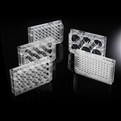 Plaques de culture cellulaire à 6/12/24/48/96 puits, fournisseur chinois